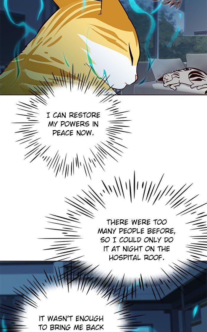 Eleceed Chapter 037 page 44
