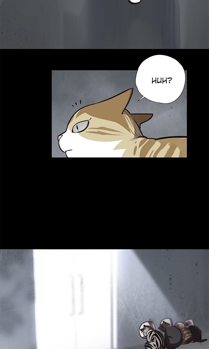 Eleceed Chapter 056 page 3